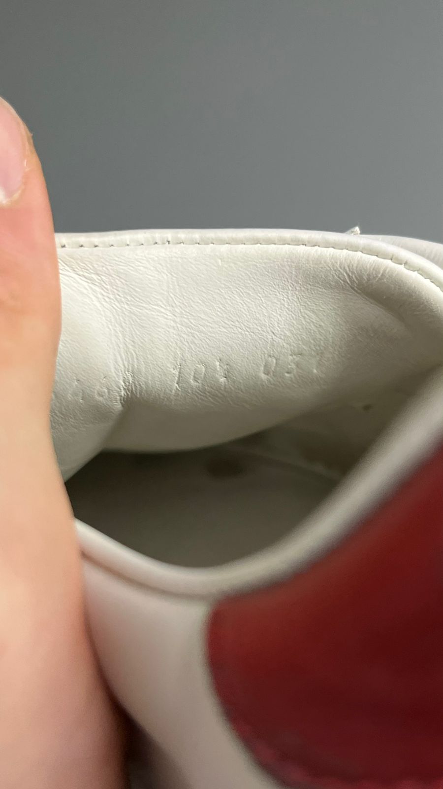 Tênis Gucci Ace 6